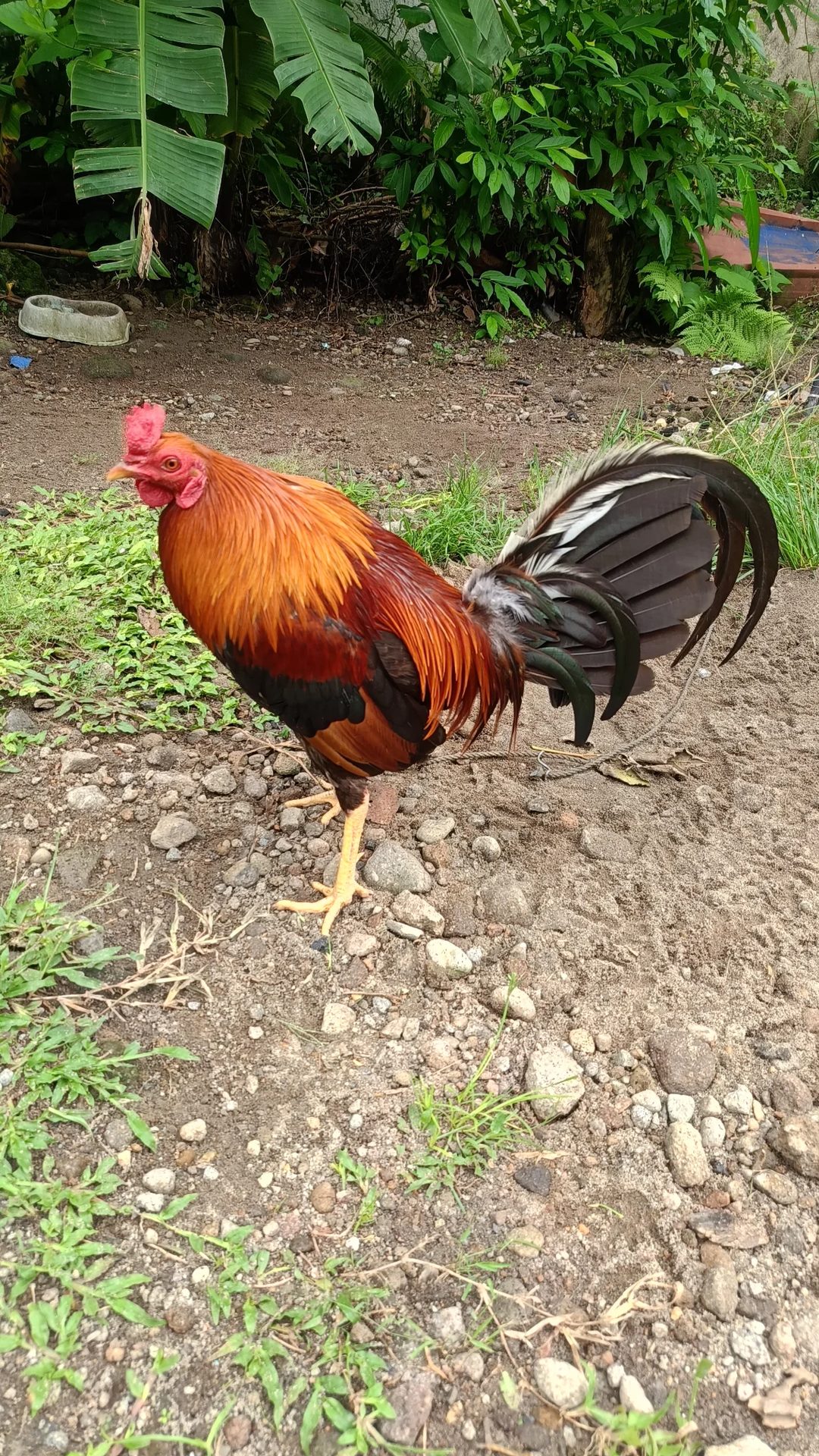 Photo from Riverbend Game Farm's post