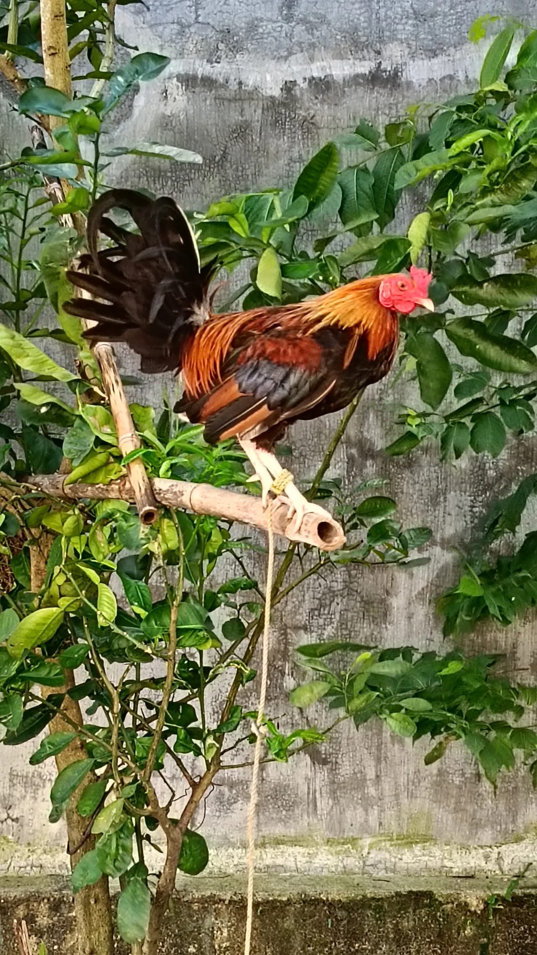 Photo from Riverbend Game Farm's post