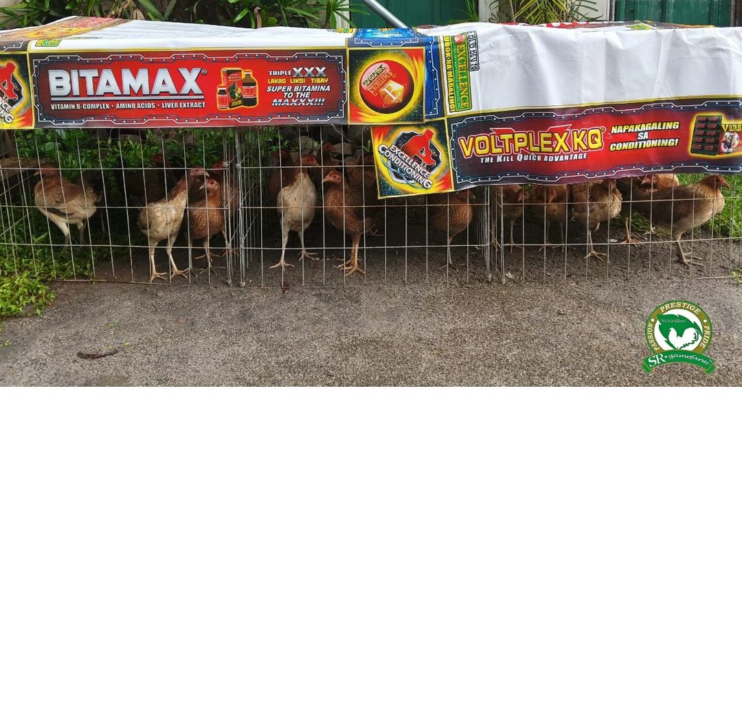 Photo from RAMBO RIVERA's post