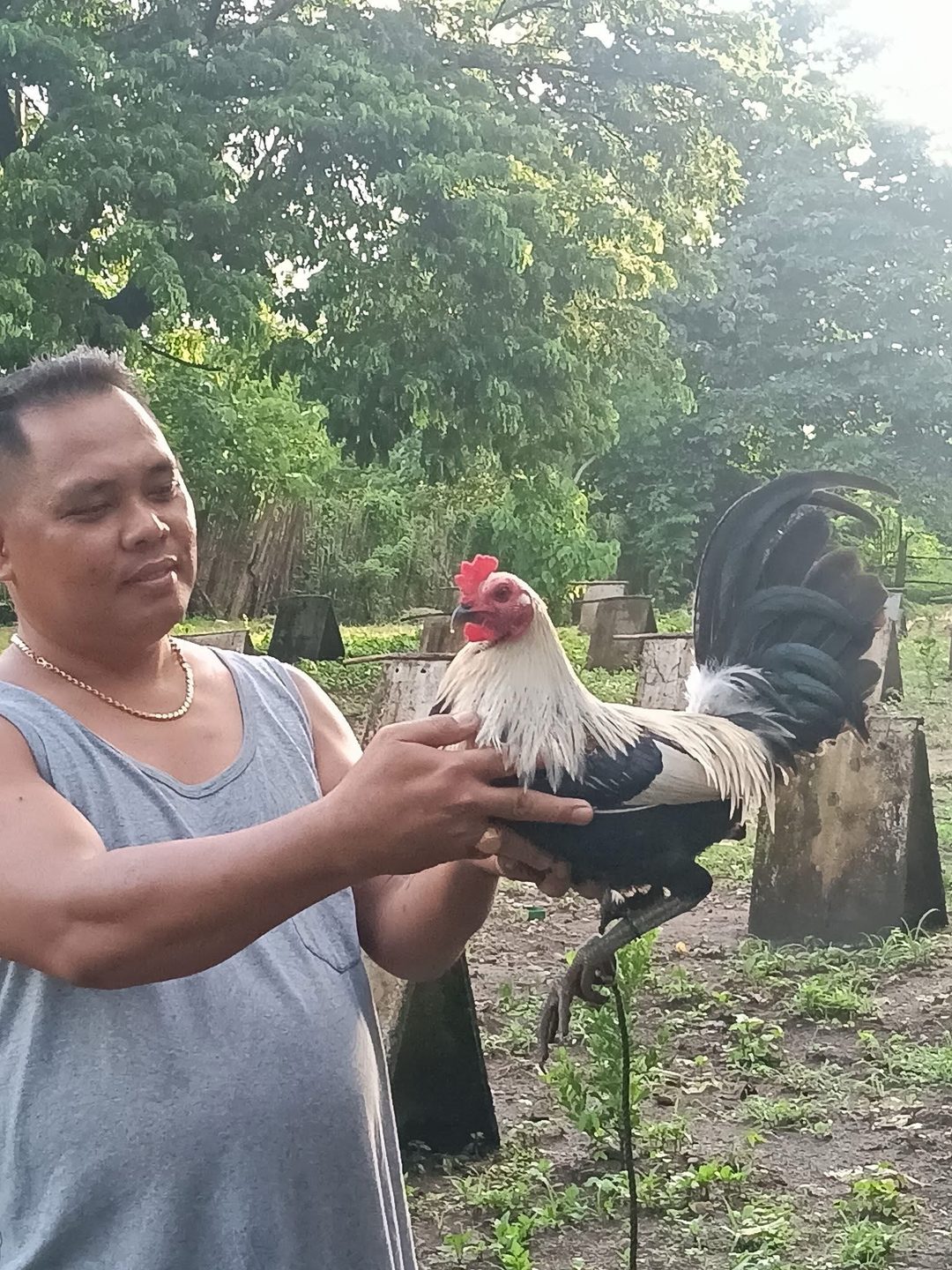 Photo from JFL Sta Lucia Gamefarm's post