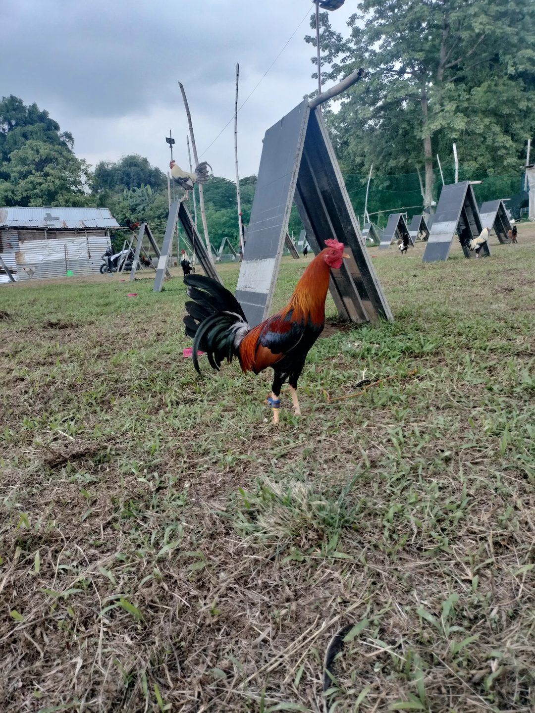 Photo from RAPTOR's post