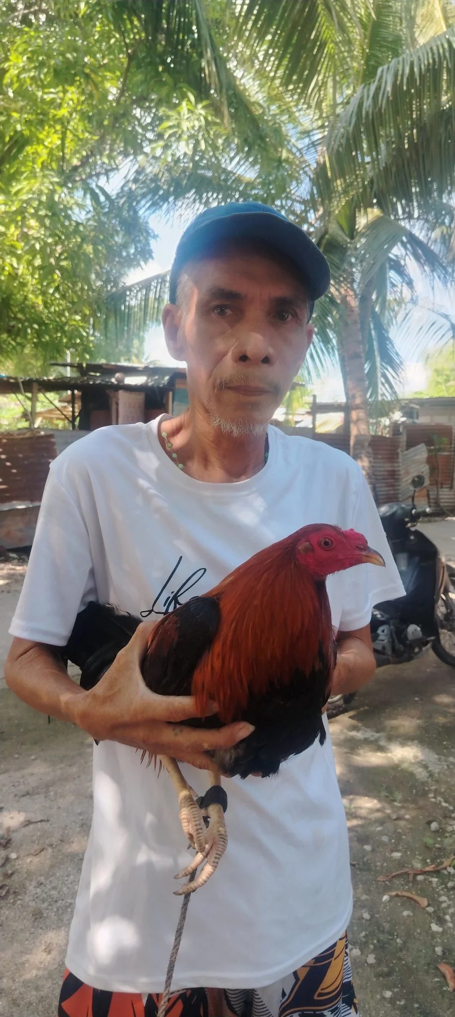 Photo from PaCas Backyard's post