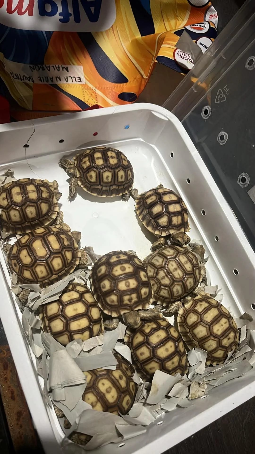 Photo from Ella Marie Bautista's post