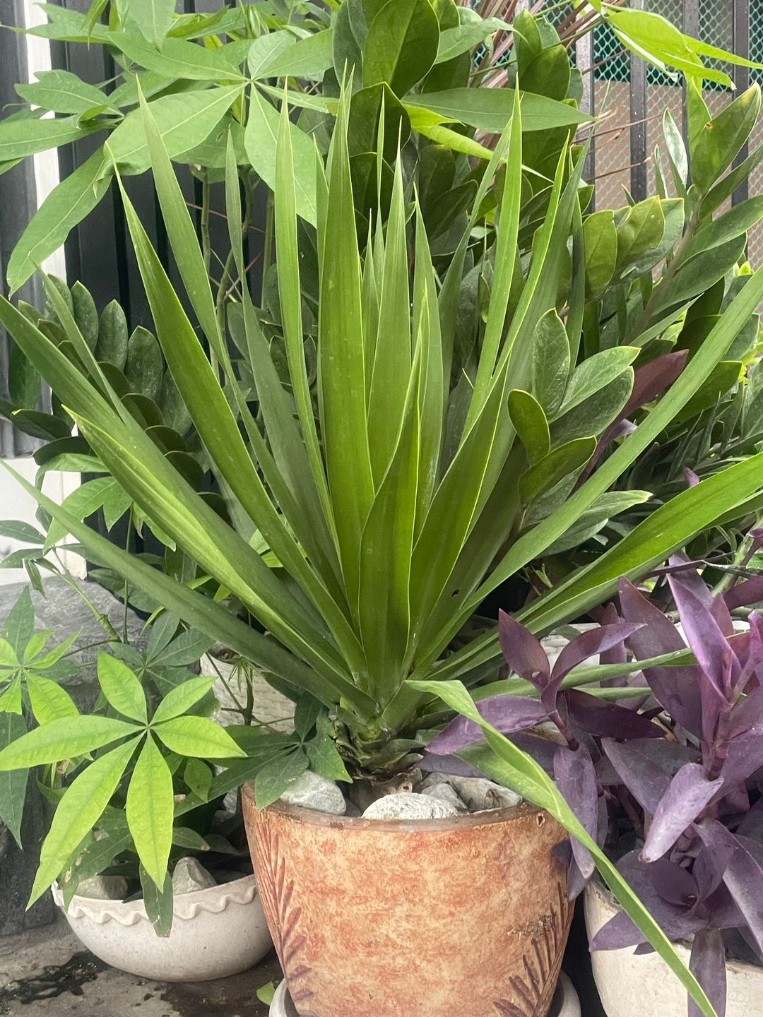 Photo from Rachelle Menorca's post