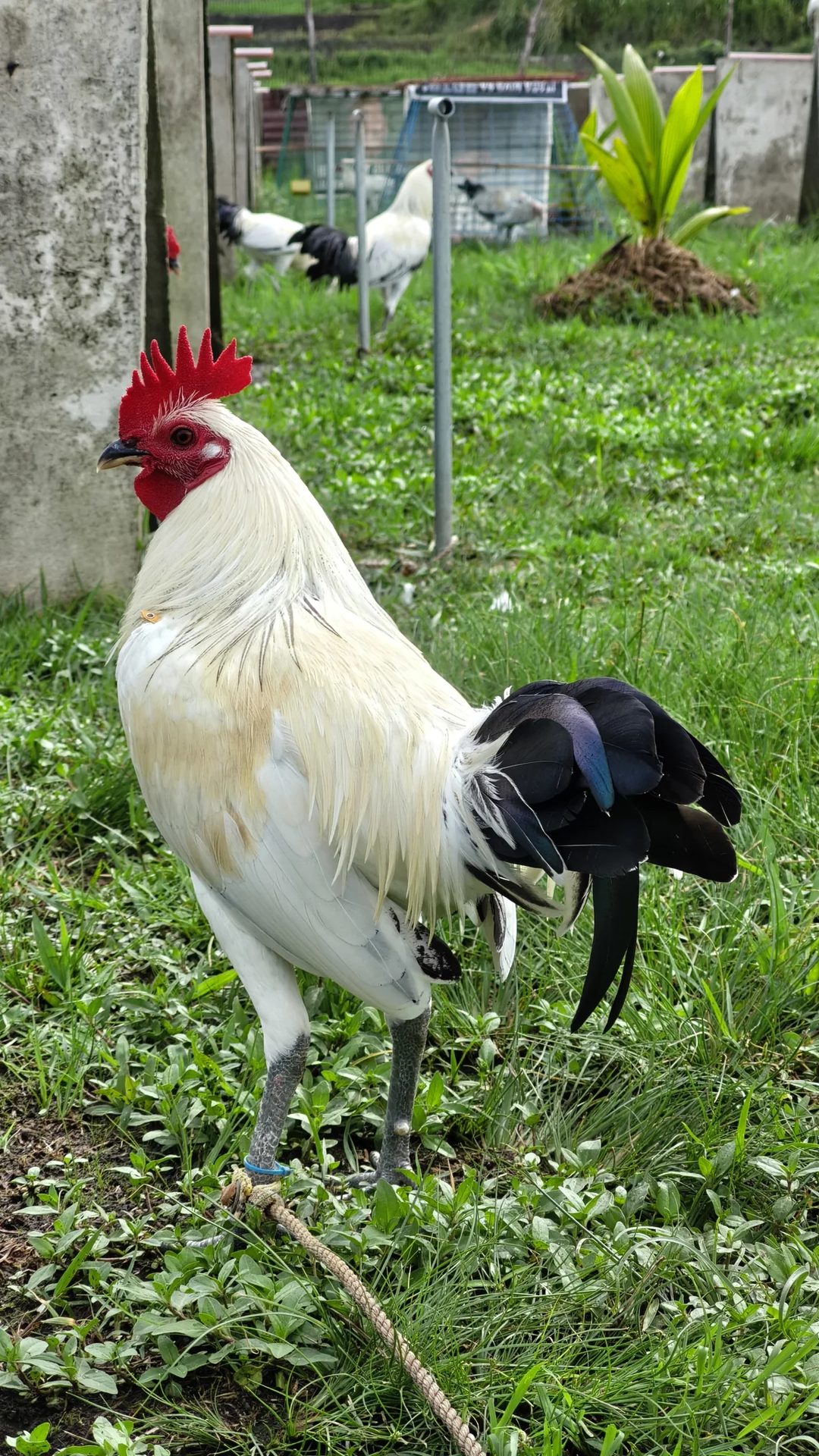 Photo from EK GAMEFARM's post