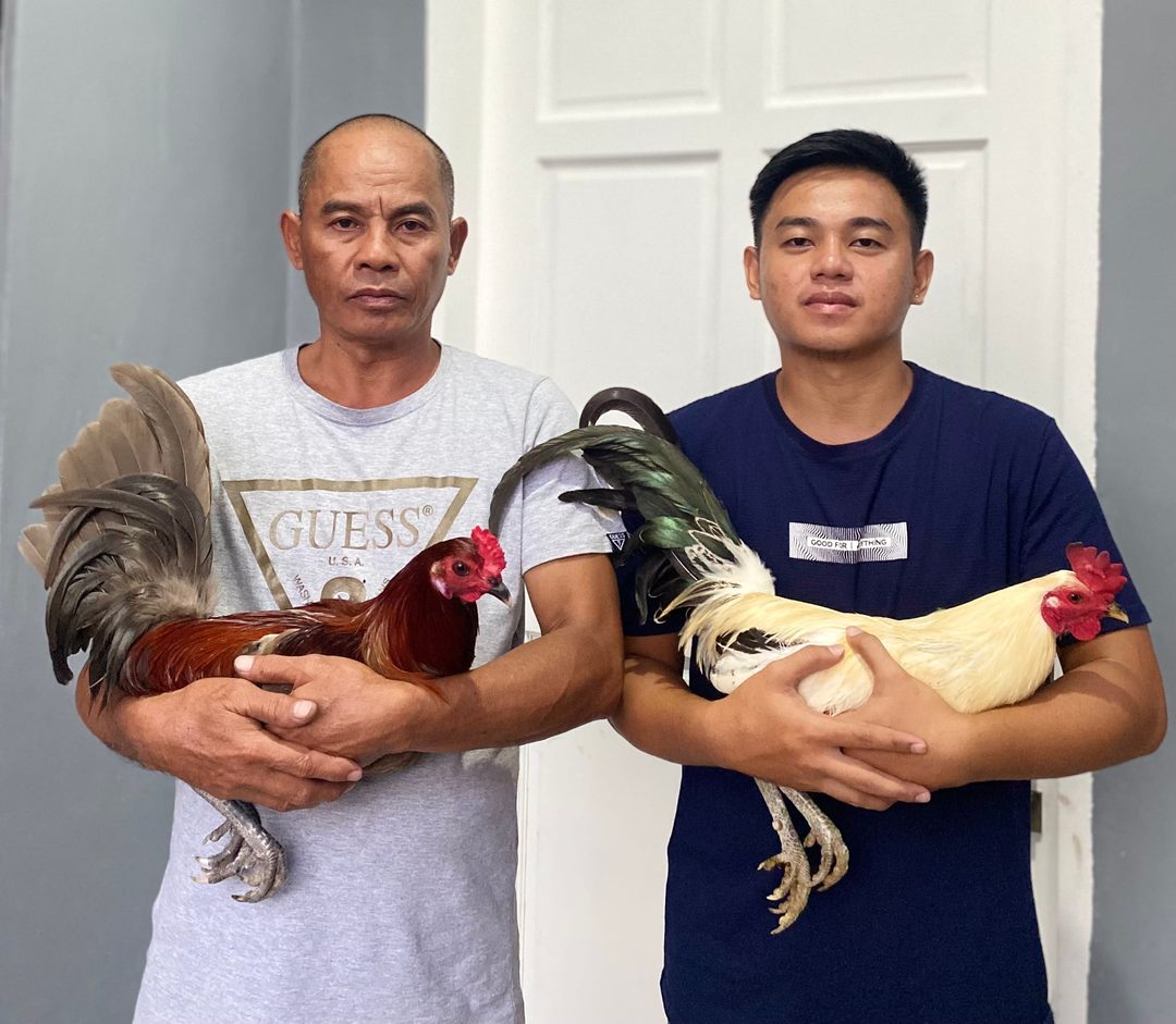 Photo from JC GAMEFARM CEBU's post