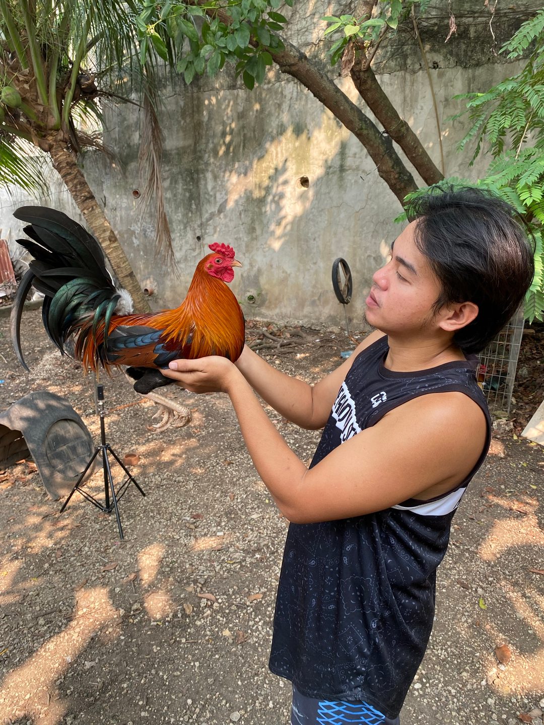 Photo from JC GAMEFARM CEBU's post