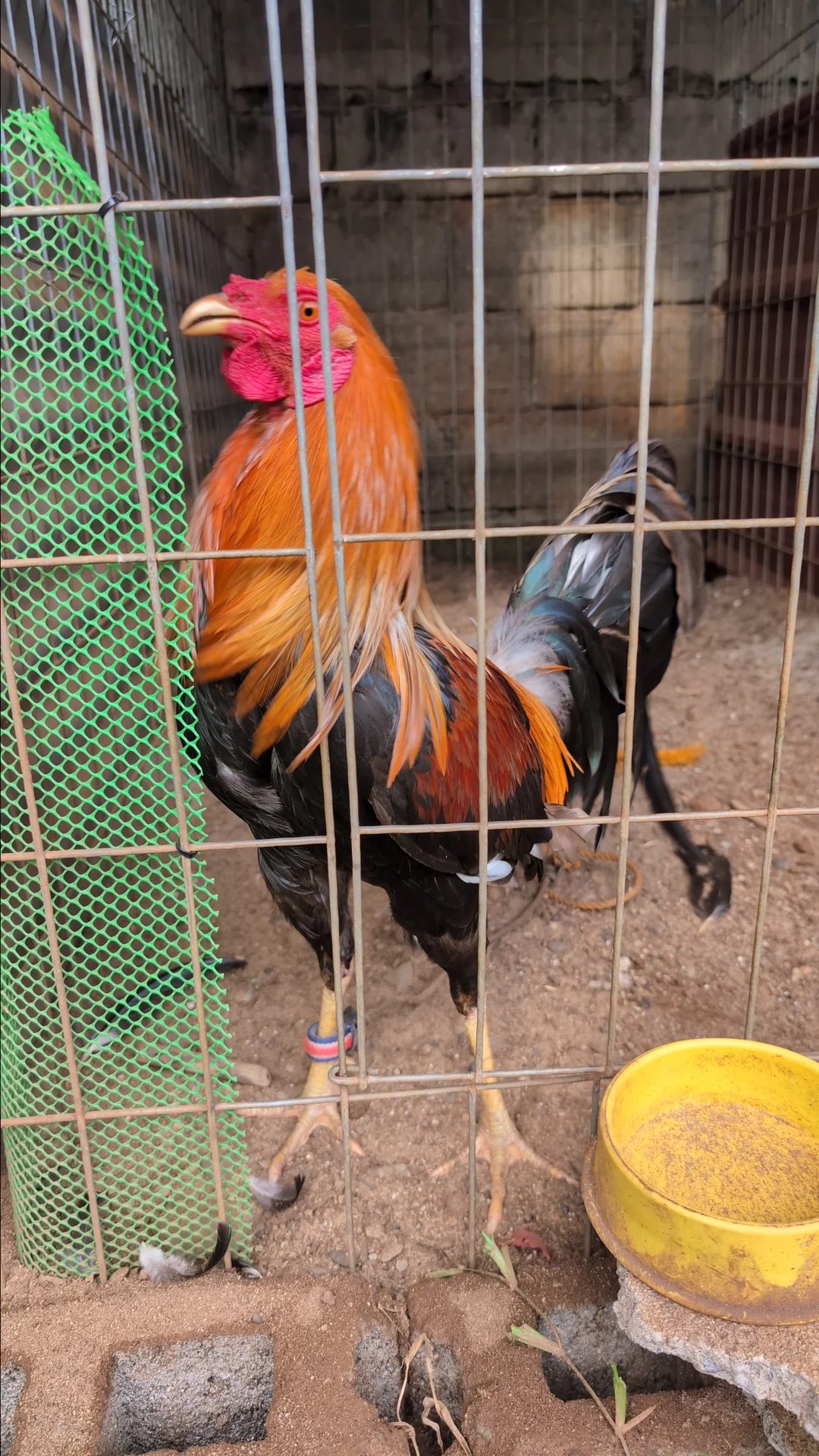 Photo from JB GAMEYARD (*JBGY*)'s post