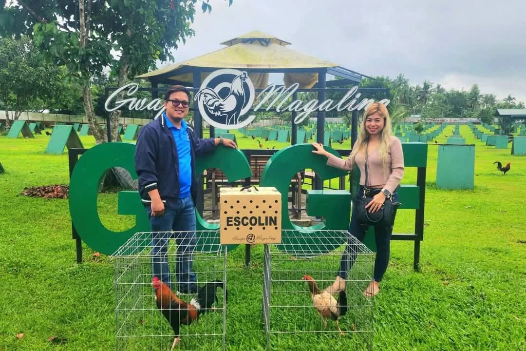 Photo from Percydrake Gamefarm's post