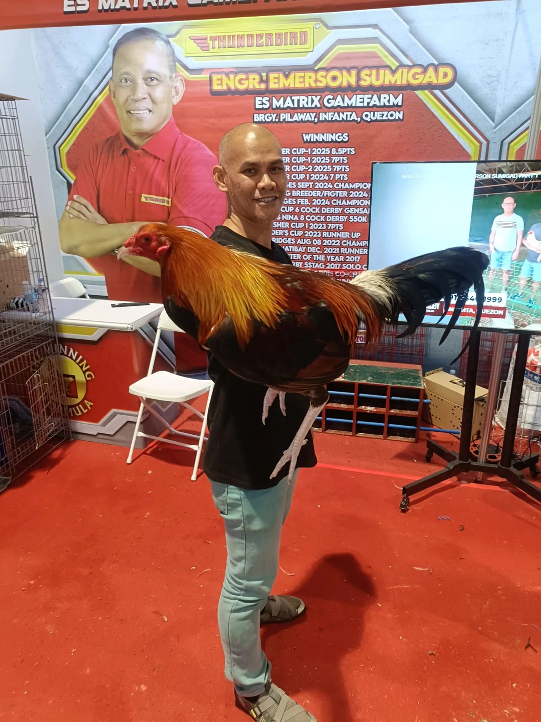 Photo from Gamefowl Society's post