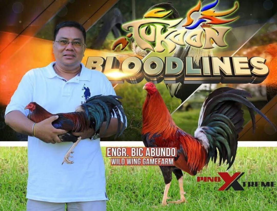 Photo from Paolo Abundo's post