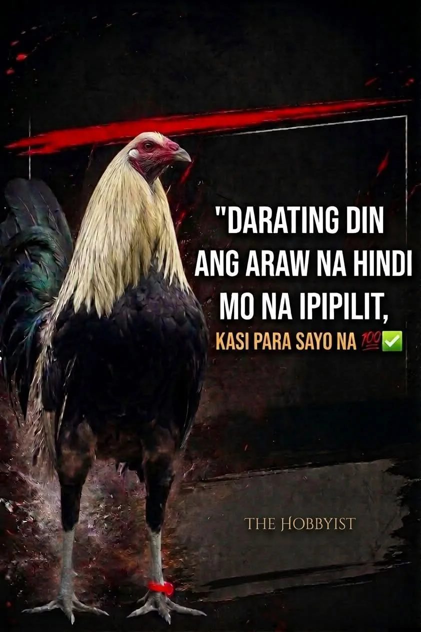 Photo from JJR LAROM (BJMORAL)'s post
