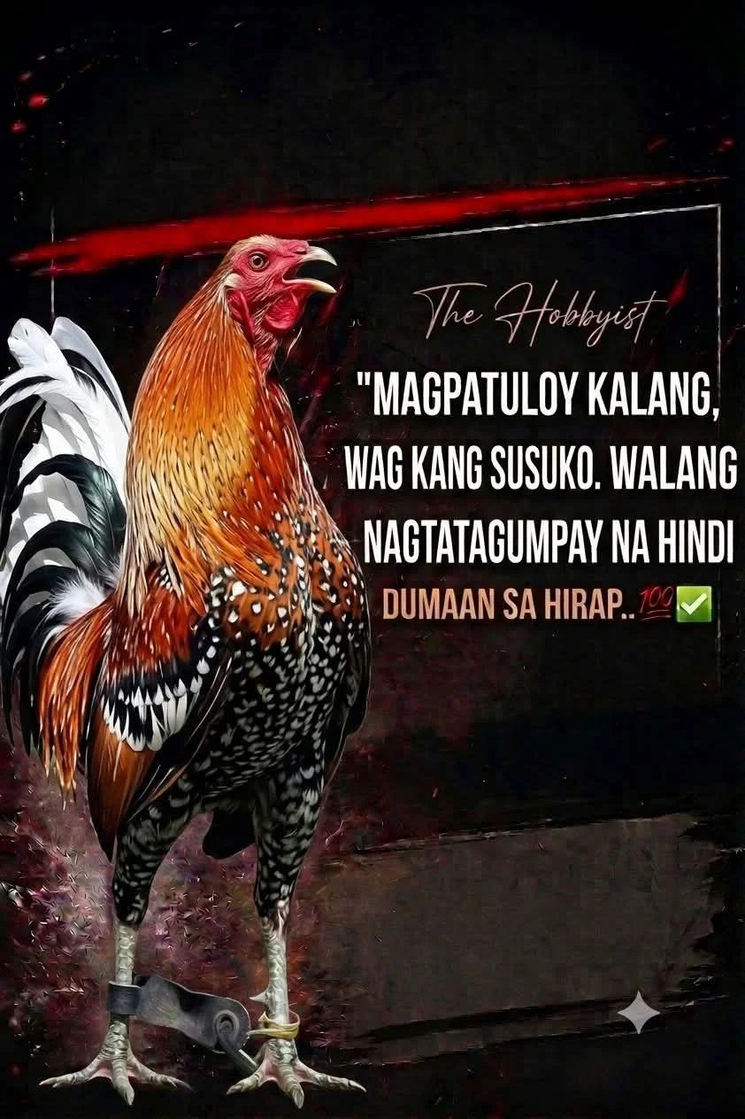 Photo from JJR LAROM (BJMORAL)'s post