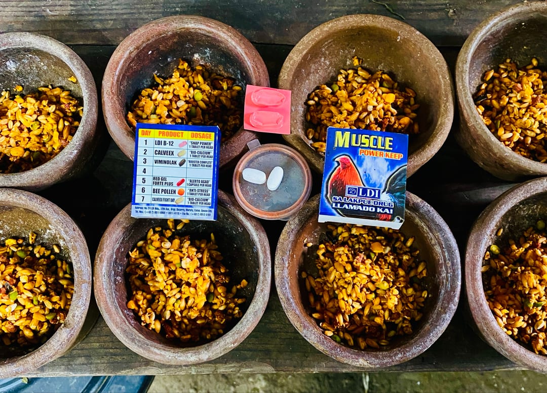 Photo from Chicken Lover's post