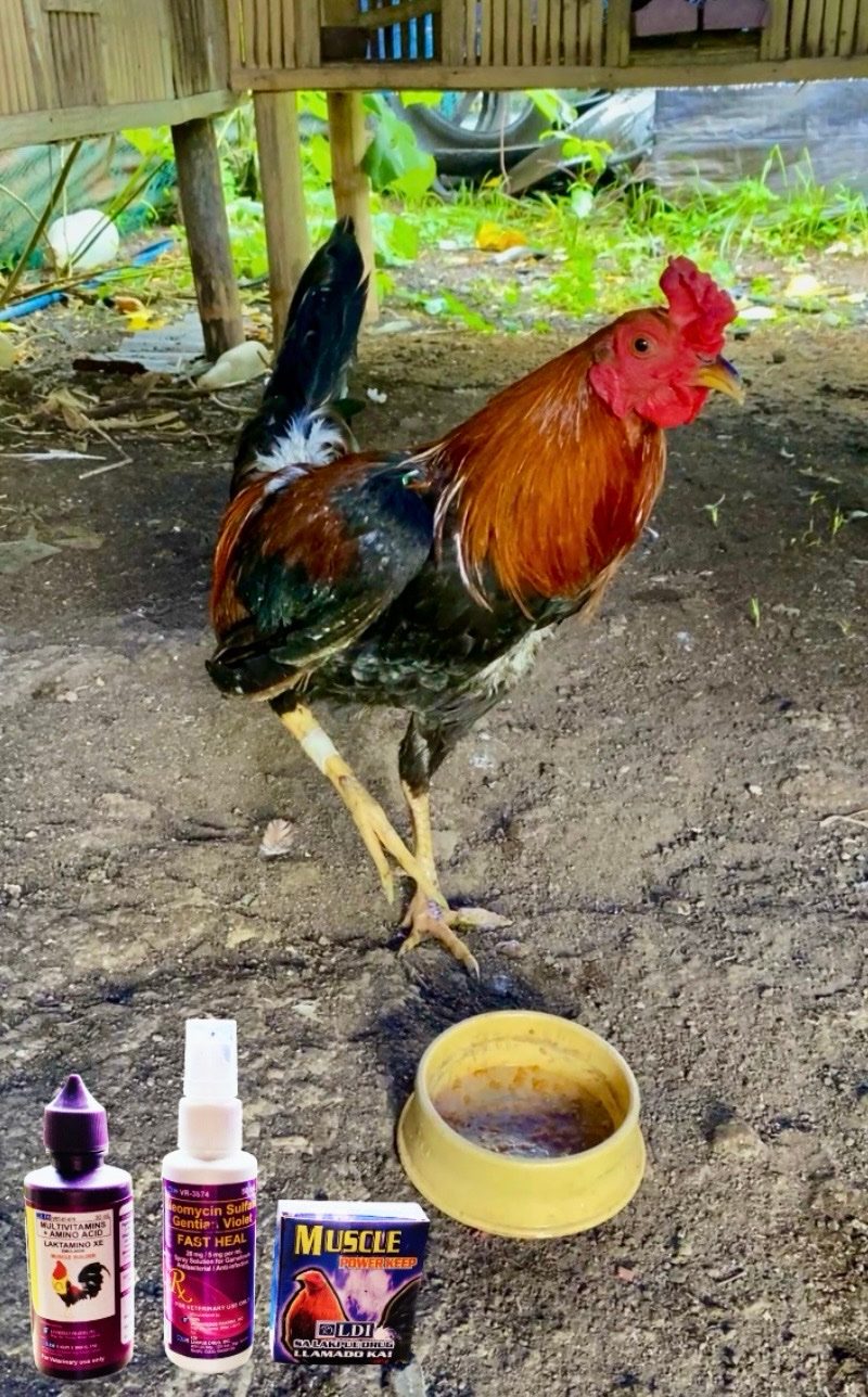 Photo from Chicken Lover's post