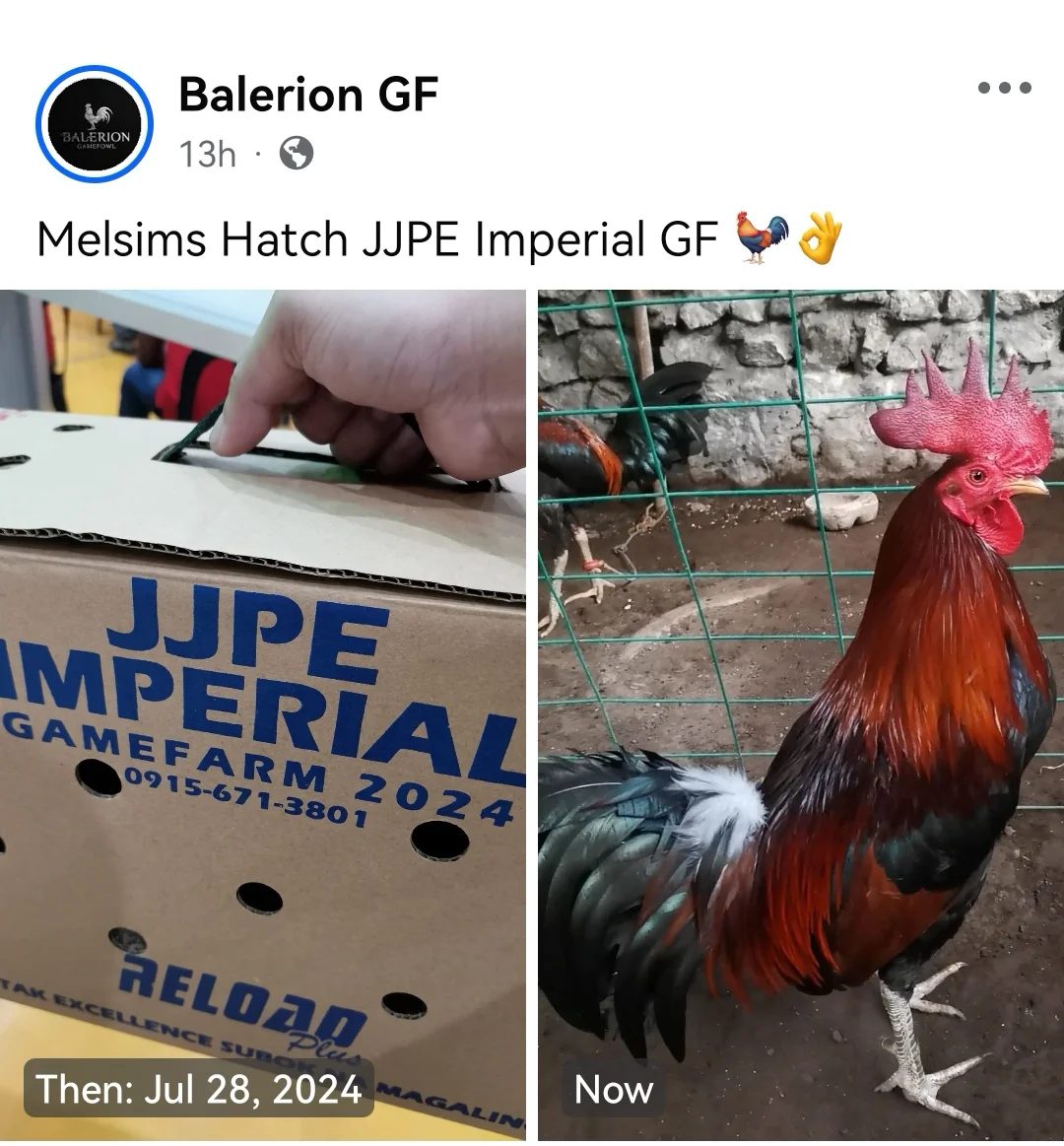 Photo from BALERION GF's post