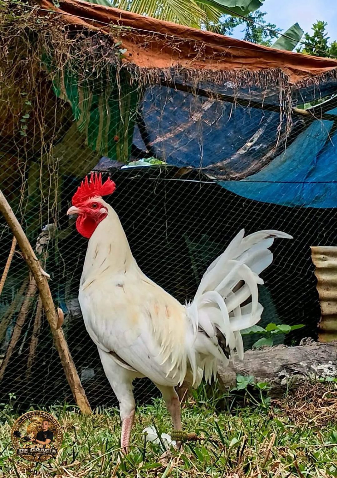 Photo from CDG gameyard's post