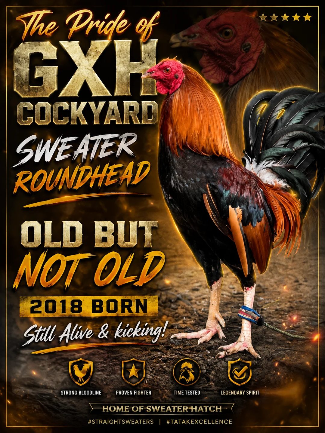 Photo from Richard P Abello (gxhcockyard)'s post