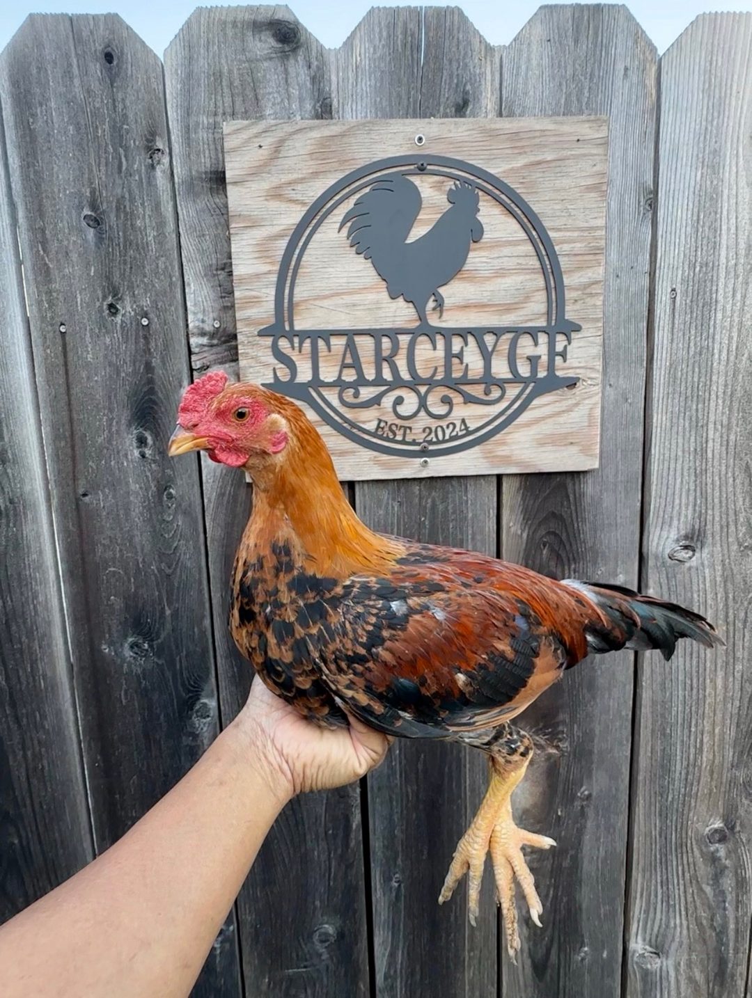 Photo from Starcey GameFarm's post