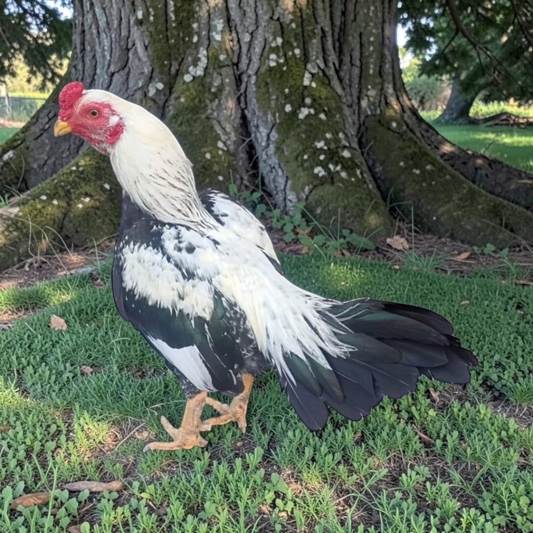 Photo from Starcey GameFarm's post