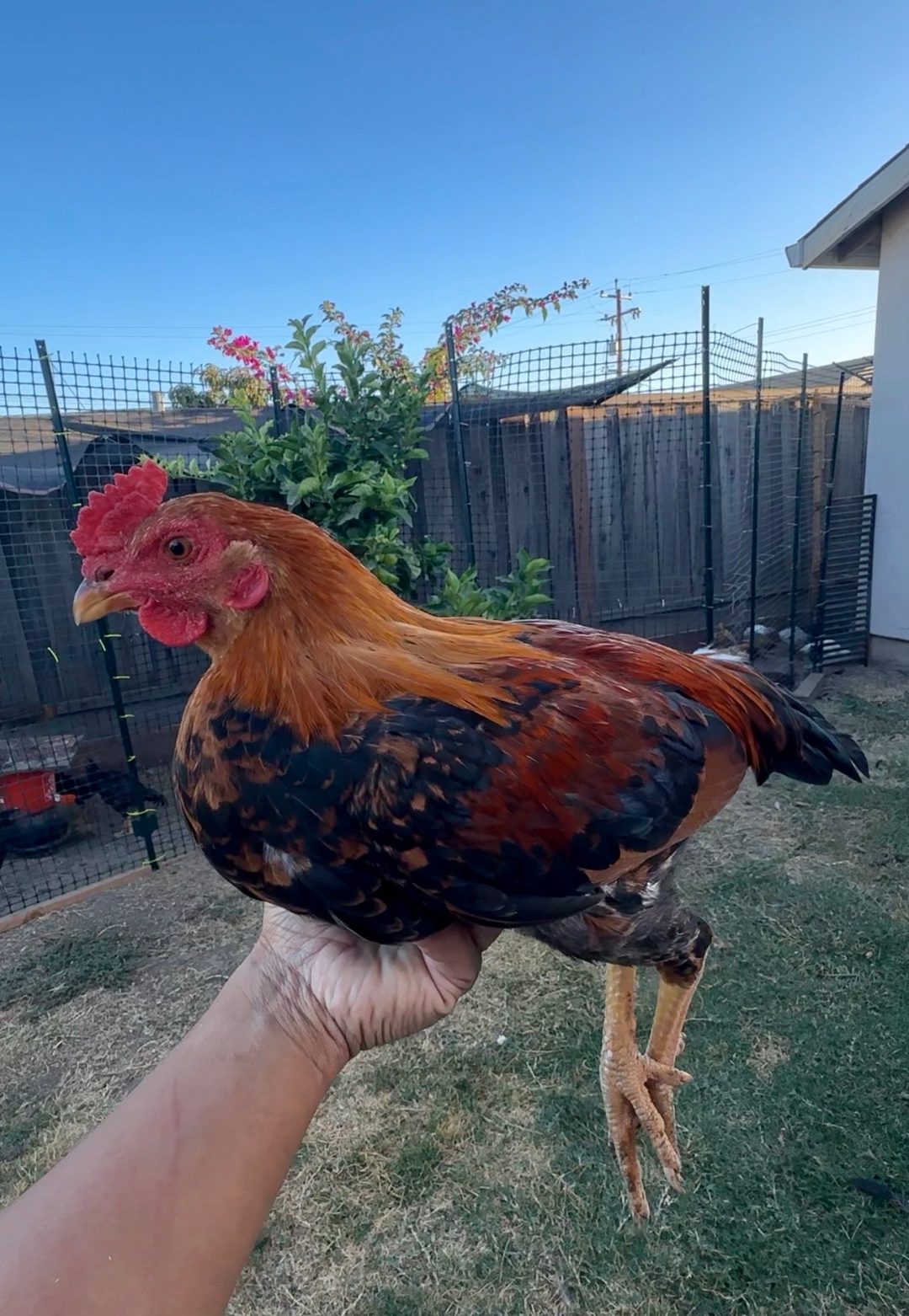 Photo from Starcey GameFarm's post