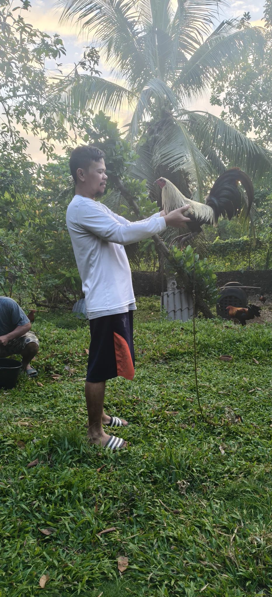 Photo from Manok bisaya's post