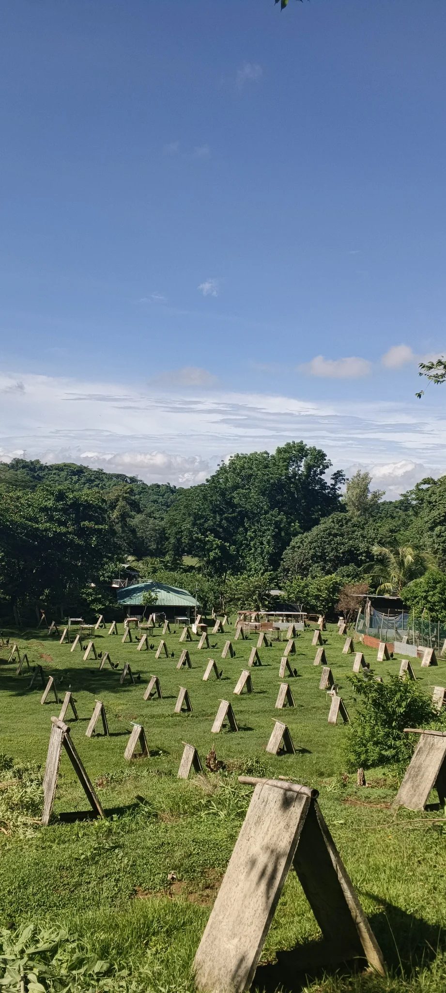 Photo from Denz's post