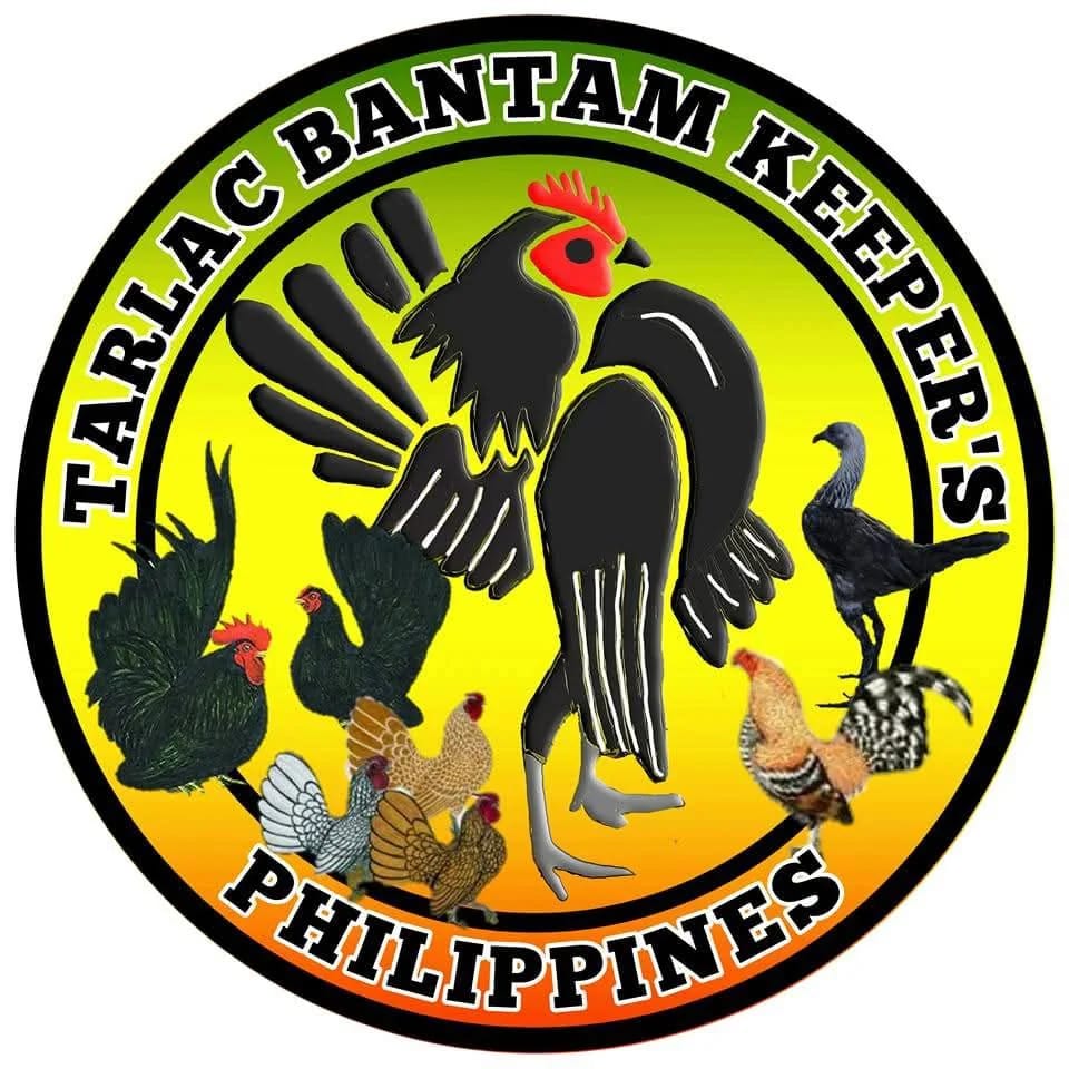 Photo from Jeric C. Tuazon's post
