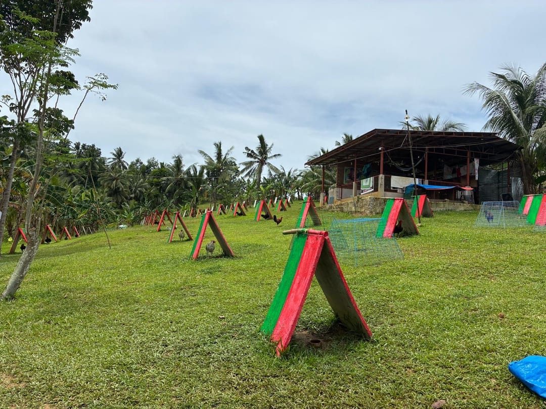 Photo from Chary Cabesas's post