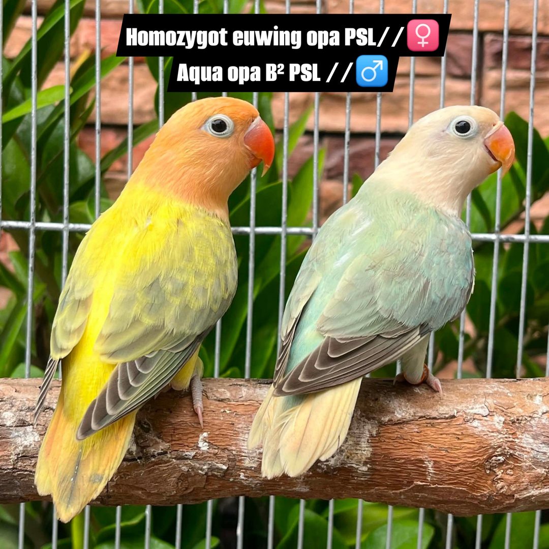 Photo from mark victoria's post