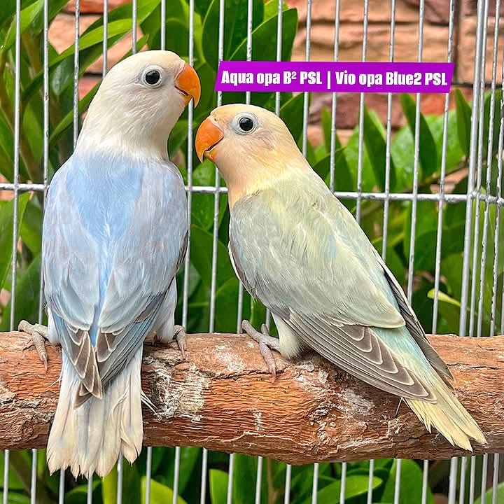 Photo from mark victoria's post