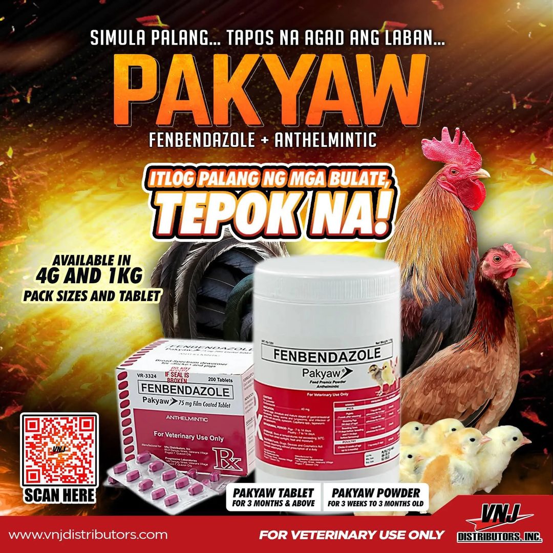 Photo from Allen Kharl Lisbo's post