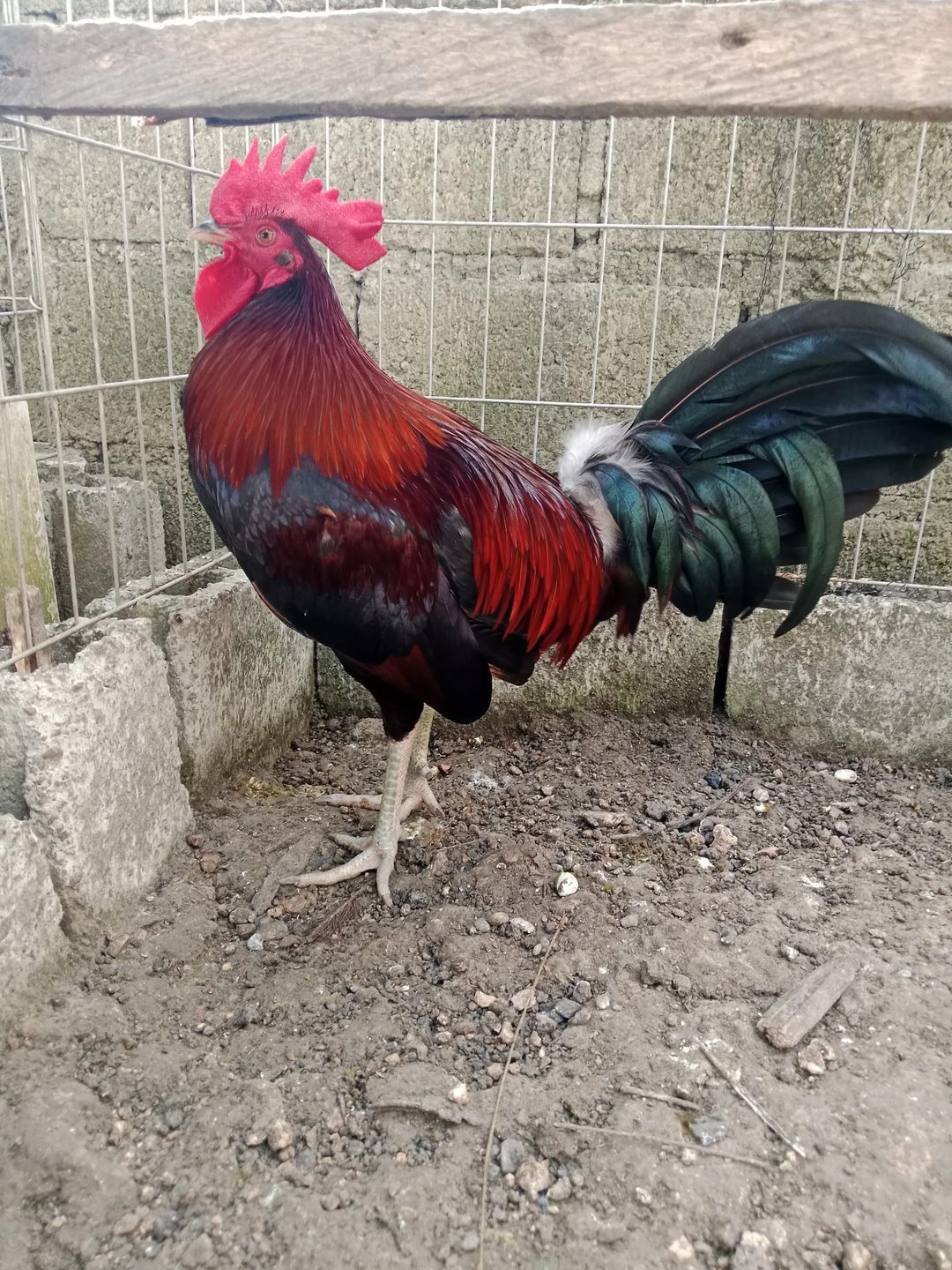 Photo from Shealtiel Gameyard's post