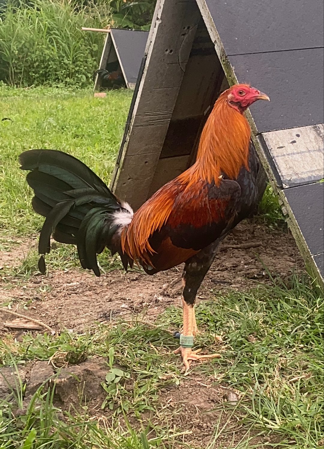 Photo from MAC-B GF's post