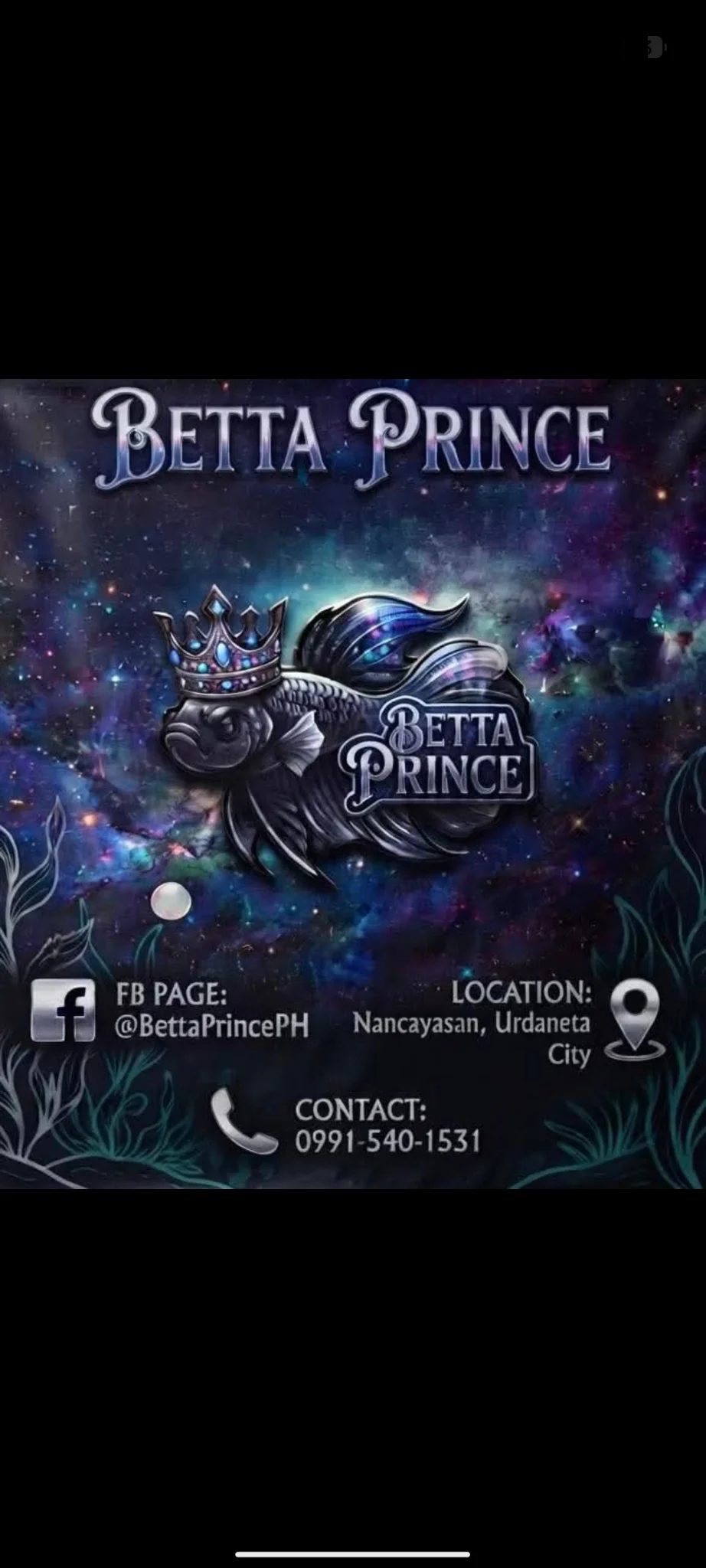 Photo from Betta Prince's post