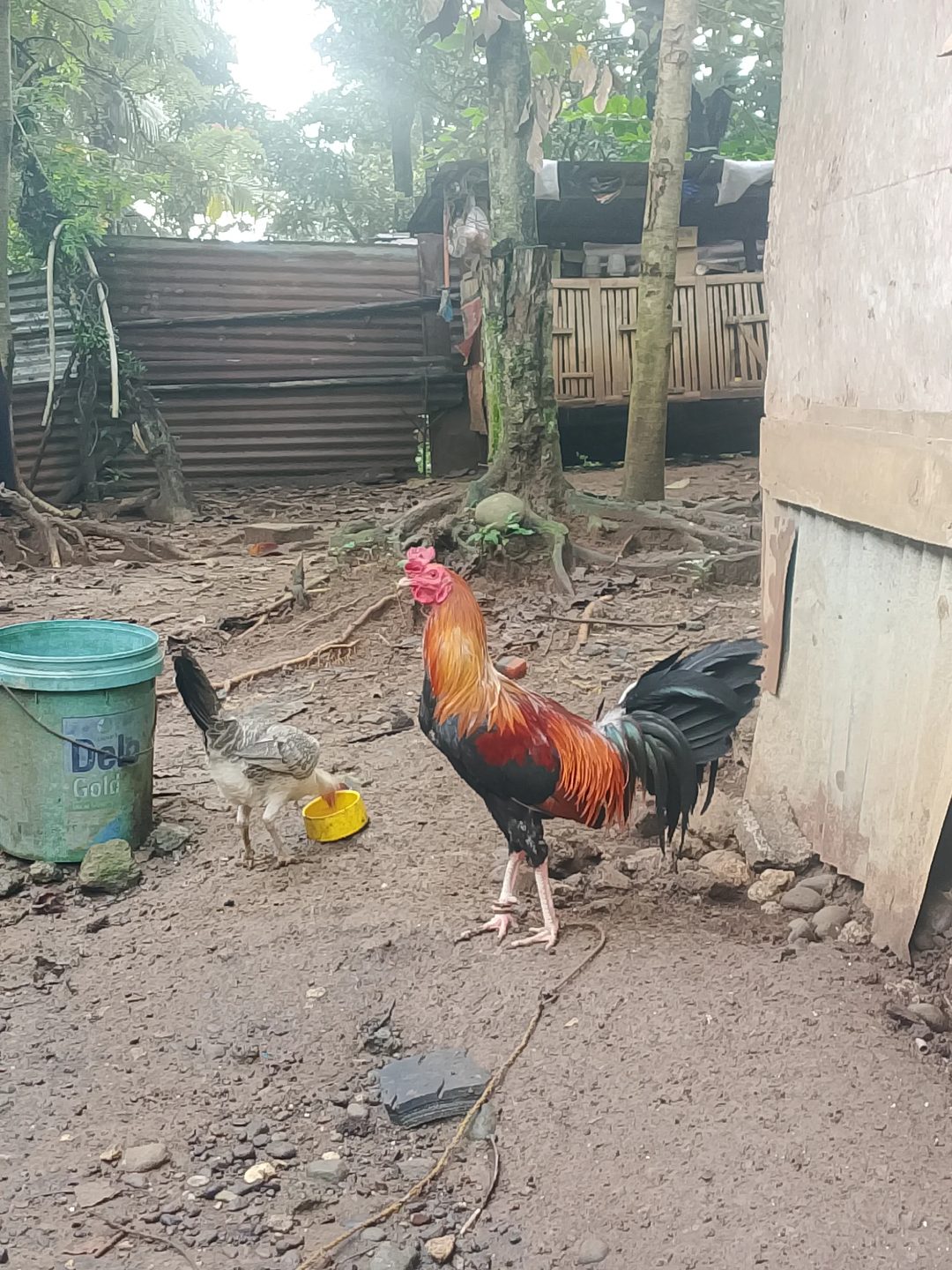 Photo from Ruzel A Anuada's post