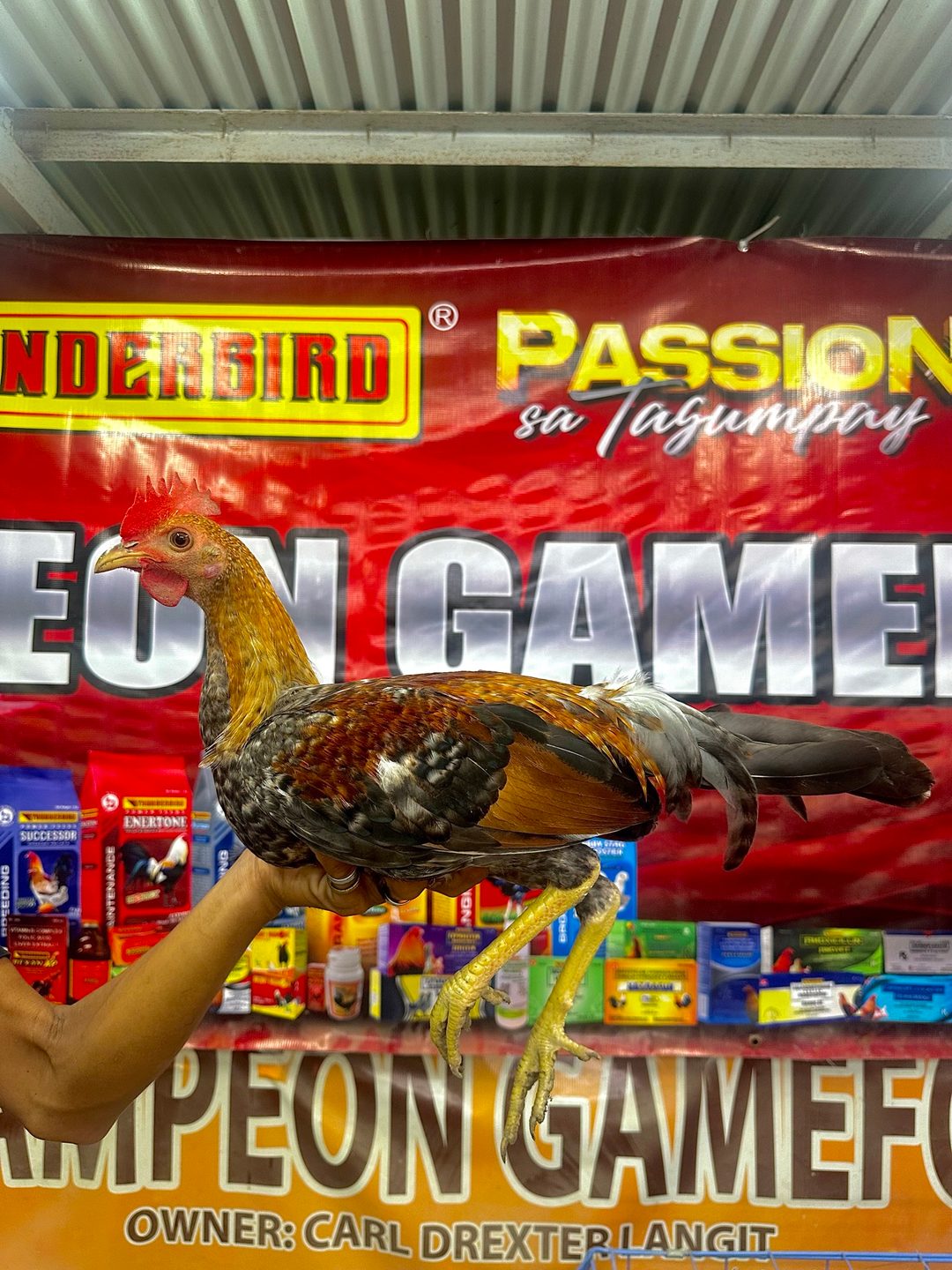 Photo from EL Kampeon GF's post