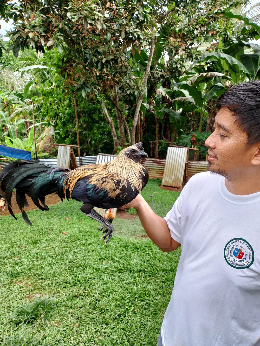 Photo from KALAHI Gamefowl's post