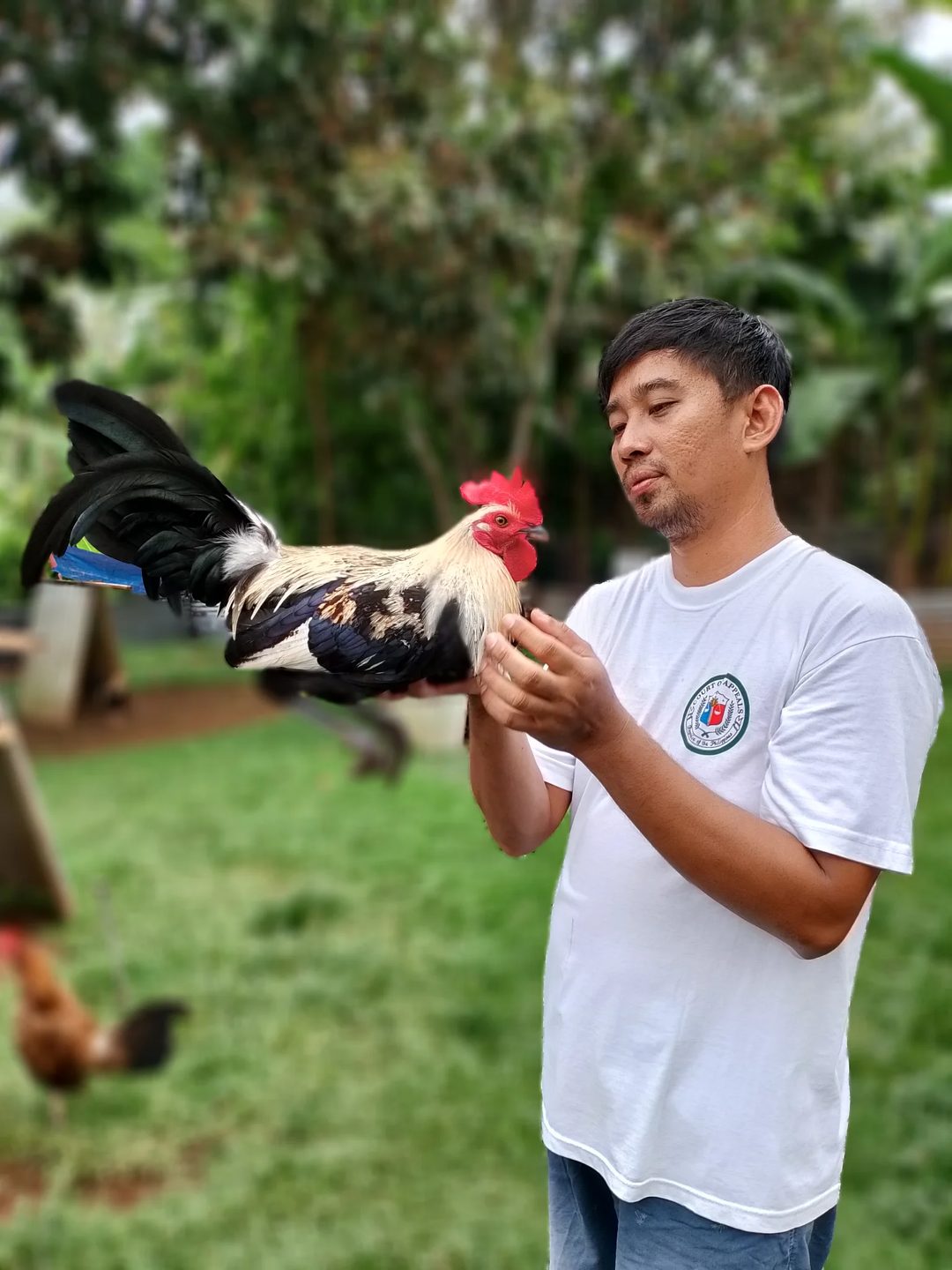 Photo from KALAHI Gamefowl's post