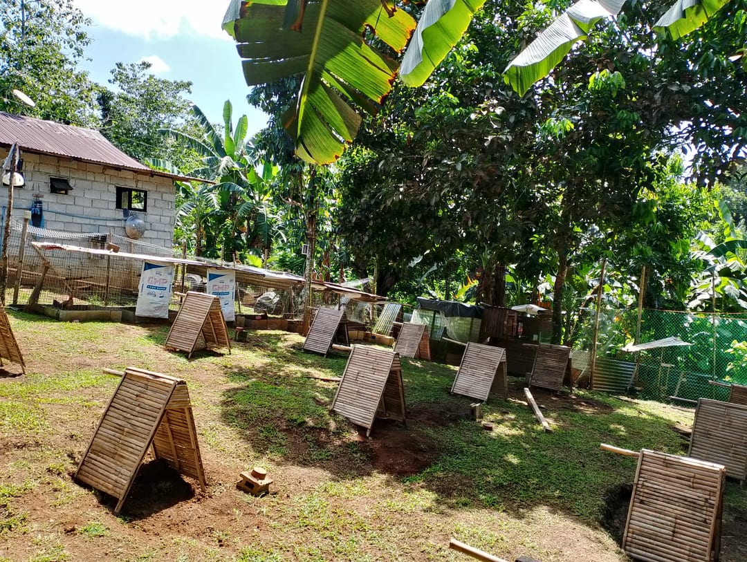 Photo from KALAHI Gamefowl's post