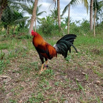 JMV818 GAMEFARM's profile photo