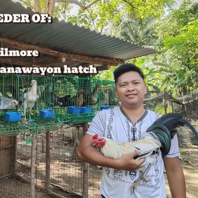 Udlot Gamebirds's profile photo