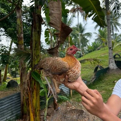 Lotzkie's profile photo