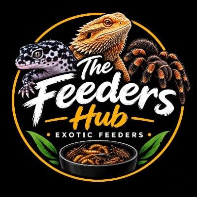 The Feeders Hub's profile photo