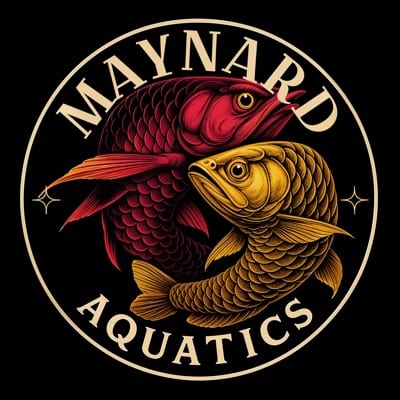 Maynard Aquatics's profile photo