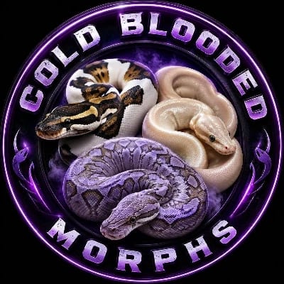 Cold Blooded Morphs's profile photo