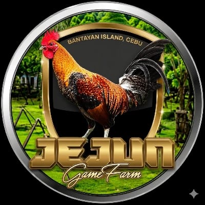 Alejandro C Mata Jr's profile photo