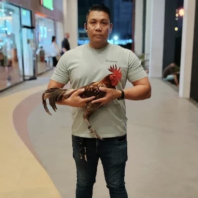 Albin Mendoza's profile photo