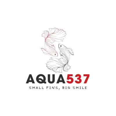 Aqua537 Betta PH's profile photo