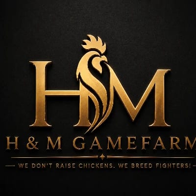 H&M GAMEFARM's profile photo